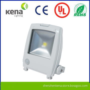 High Quality Meanwell LED Flood Lamp with Low Price, USA Bridgelux LED, 5 Years Warranty